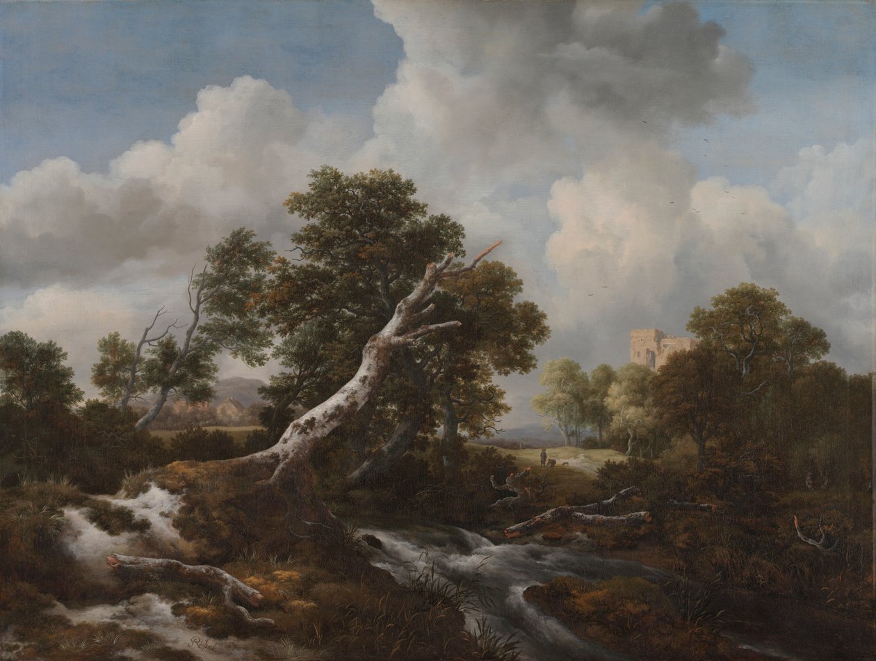 Lavt vandfald i et skovklædt landskab med et dødt bøgetræ af Jacob van Ruisdael