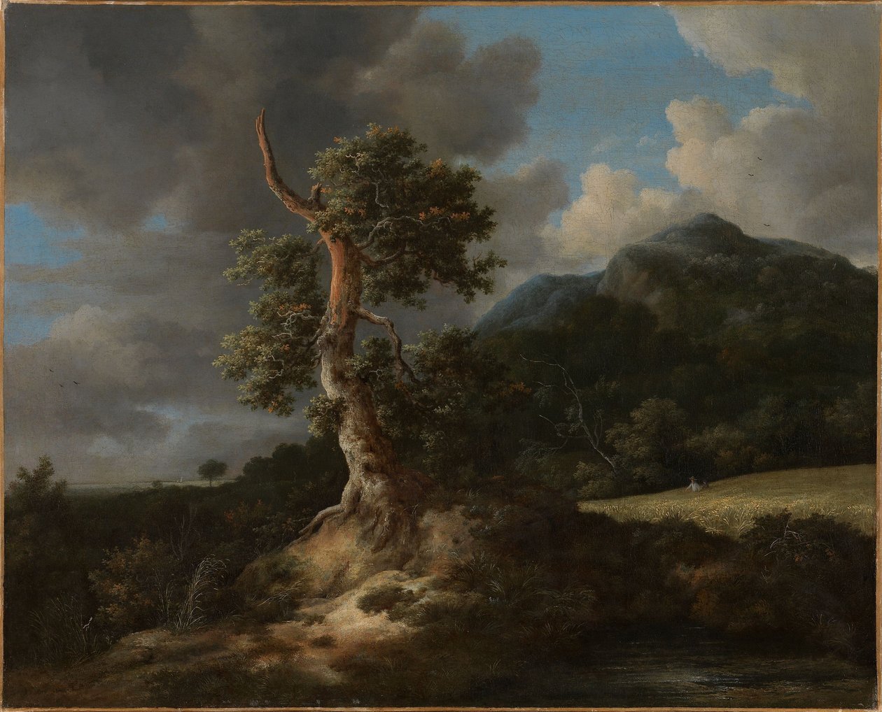 Bjerglandskab med et sprængt egetræ af Jacob van Ruisdael