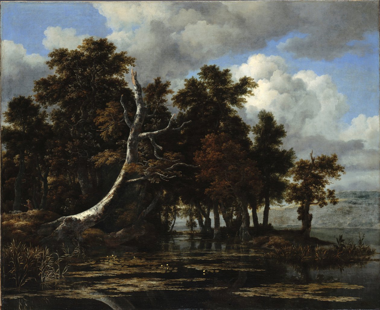 Ege ved en sø med åkander af Jacob van Ruisdael