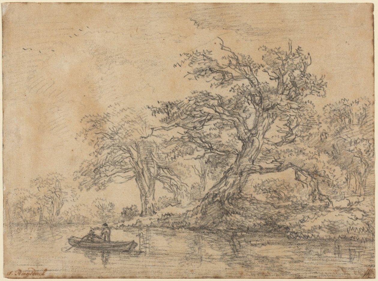Gamle træer langs en bred af Jacob van Ruisdael