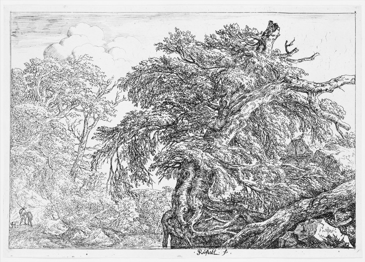 Den store bøg af Jacob van Ruisdael