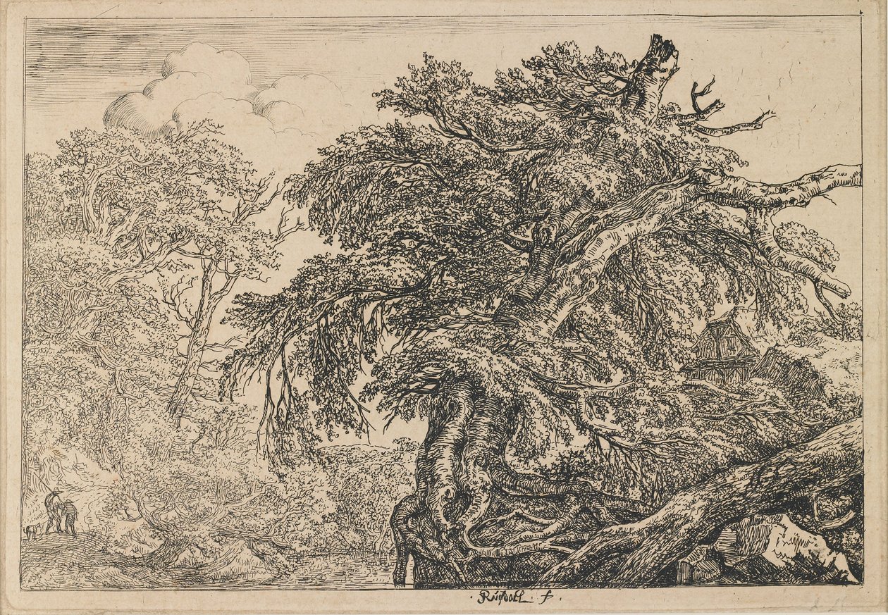 Det store bøgetræ med to mænd og en hund af Jacob van Ruisdael