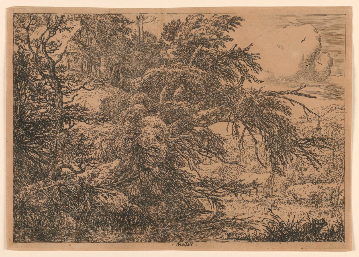 Det stråtækte sommerhus på Bakken af Jacob van Ruisdael