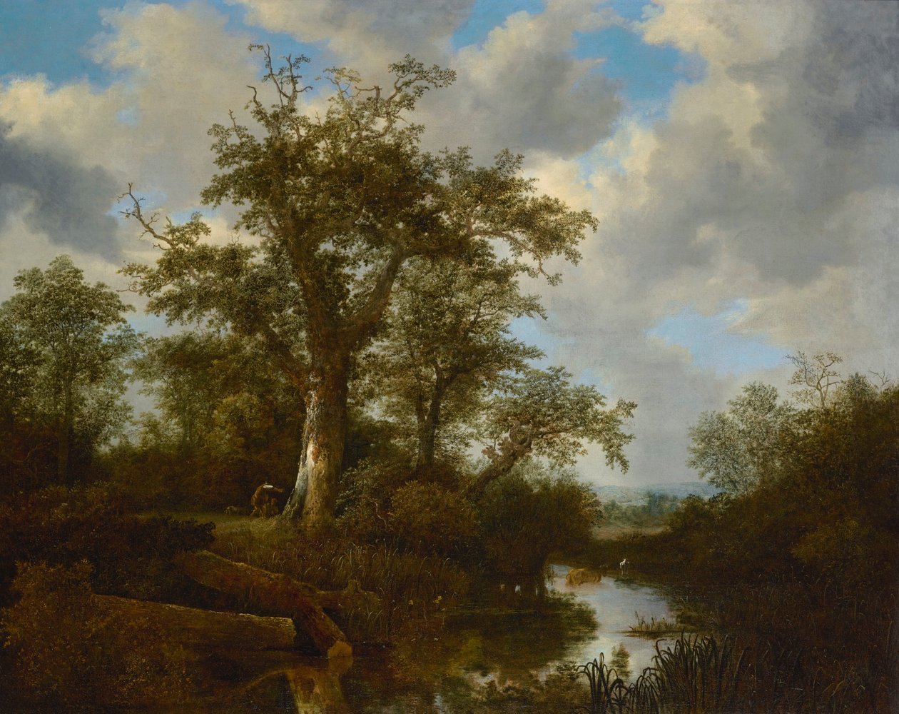 Skovlandskab med kvæg, der krydser et vandløb af Jacob van Ruisdael