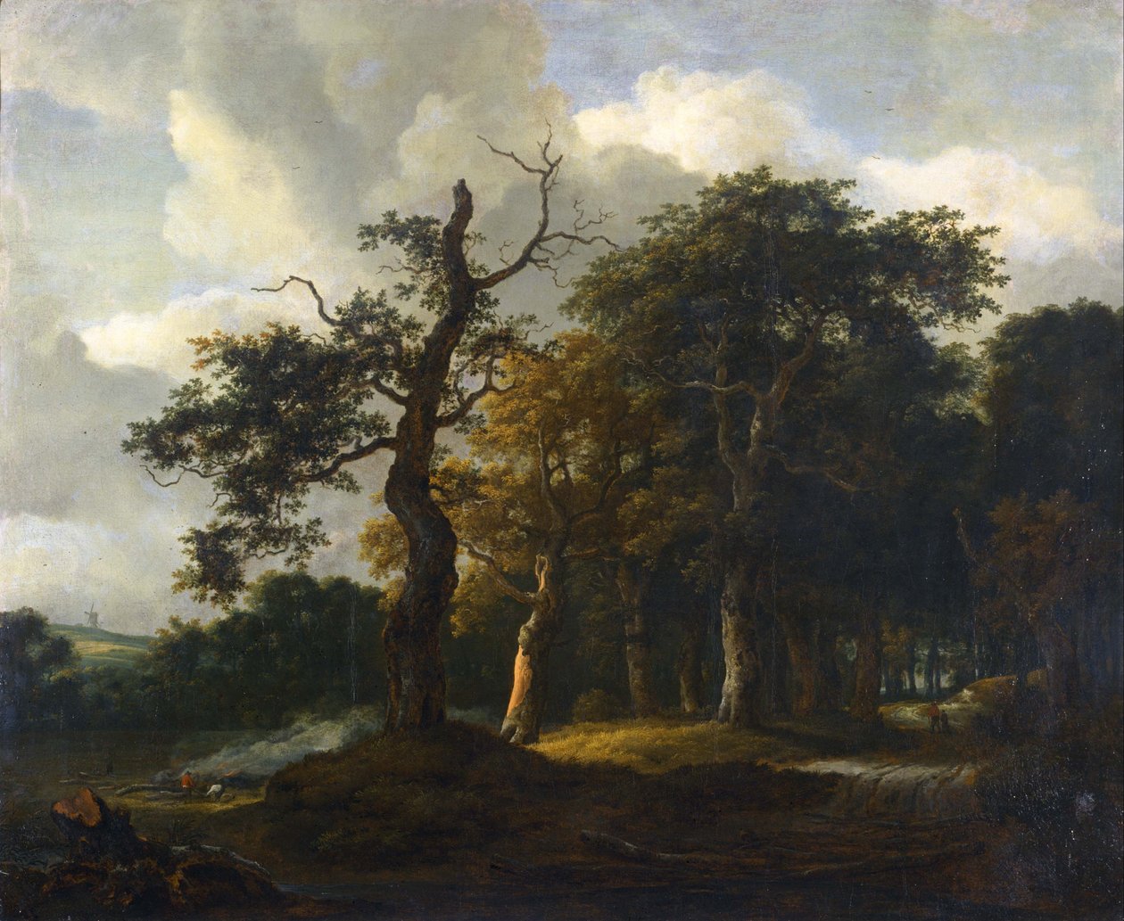 Stierne i egeskoven af Jacob van Ruisdael