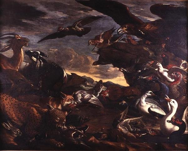 The Battle of the Birds and the Beasts (olie på lærred) af Jacob van der Kerckhoven