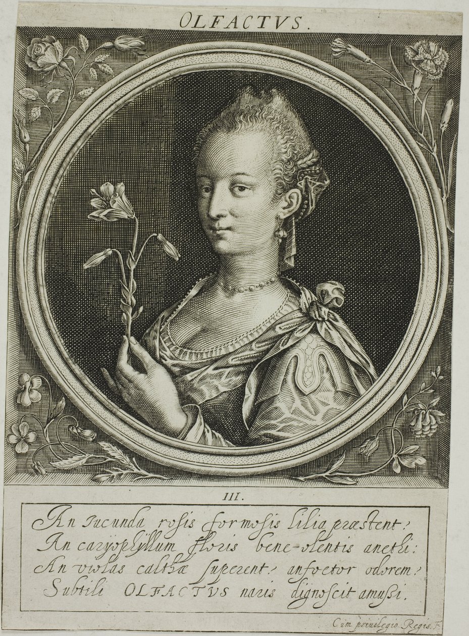 Lugt, planche tre fra De fem sanser af Jacob van der Heyden