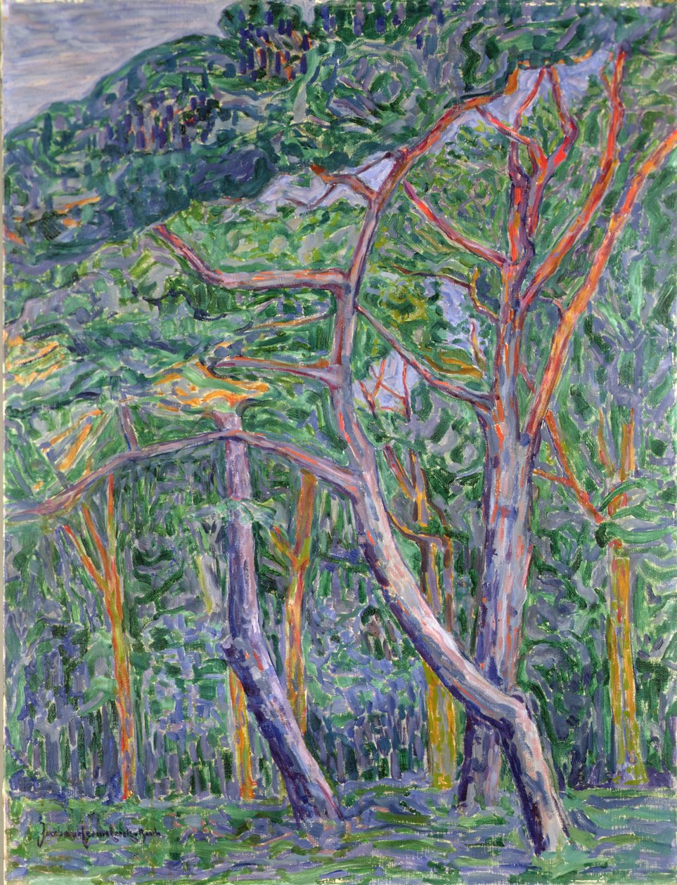 Fyrretræer af Jacoba van Heemskerck