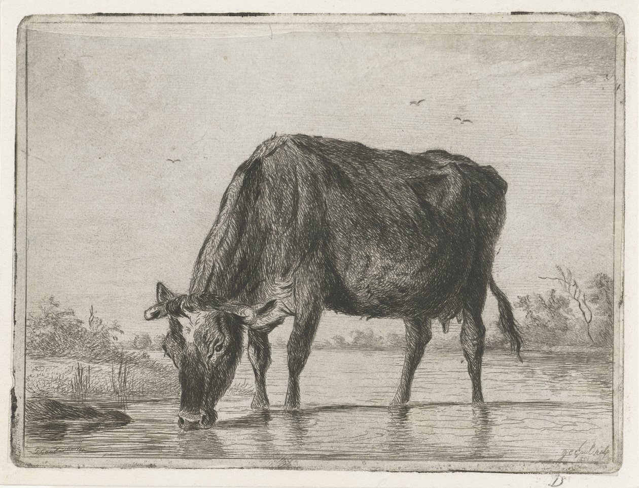 drikkende ko af Jacobus Cornelis Gaal