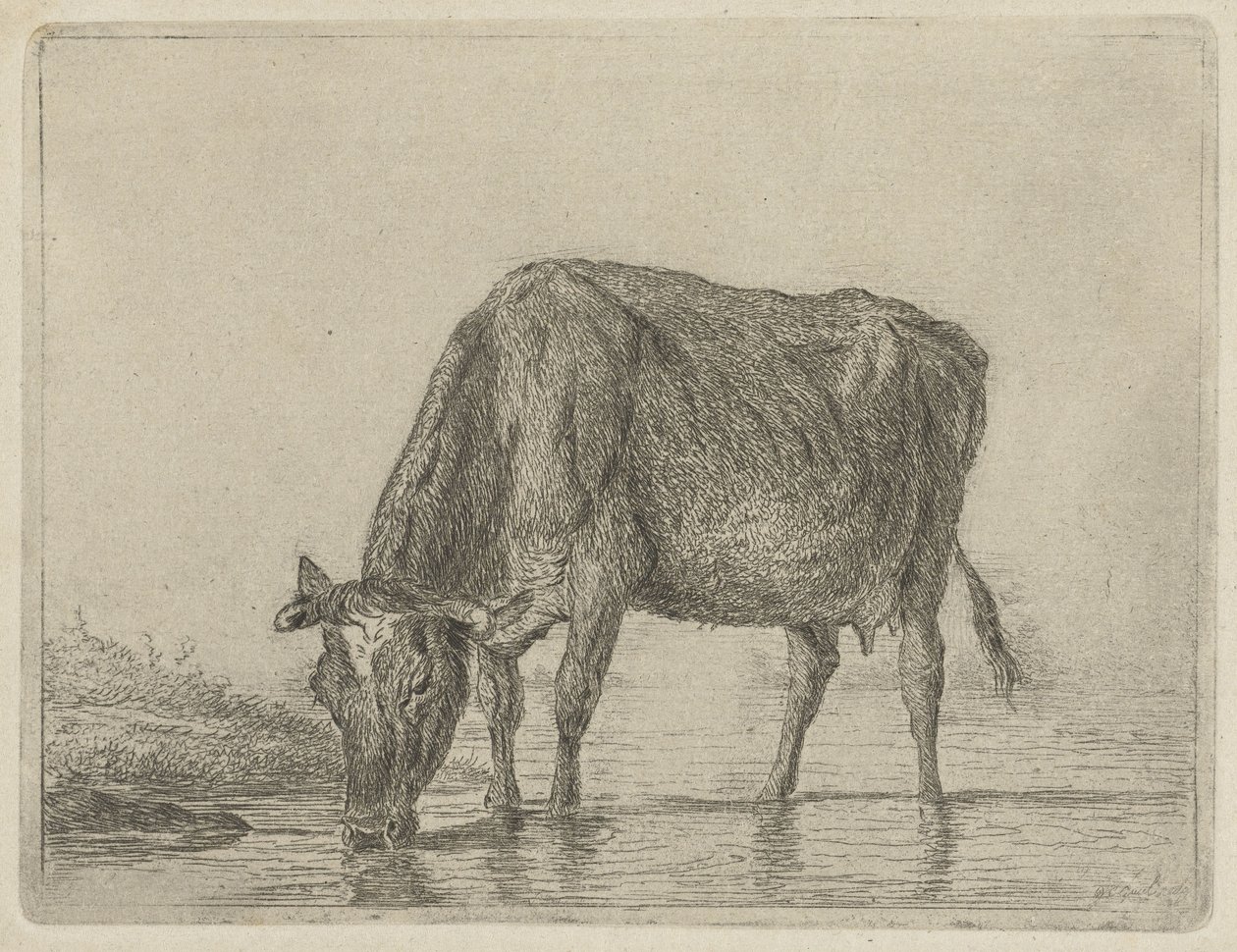 drikkende ko af Jacobus Cornelis Gaal
