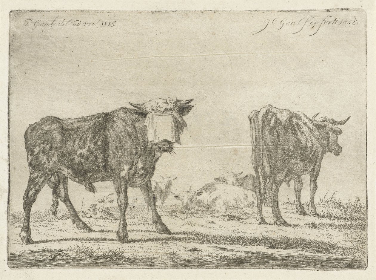 Tyr med bind for øjnene med flok kvæg af Jacobus Cornelis Gaal