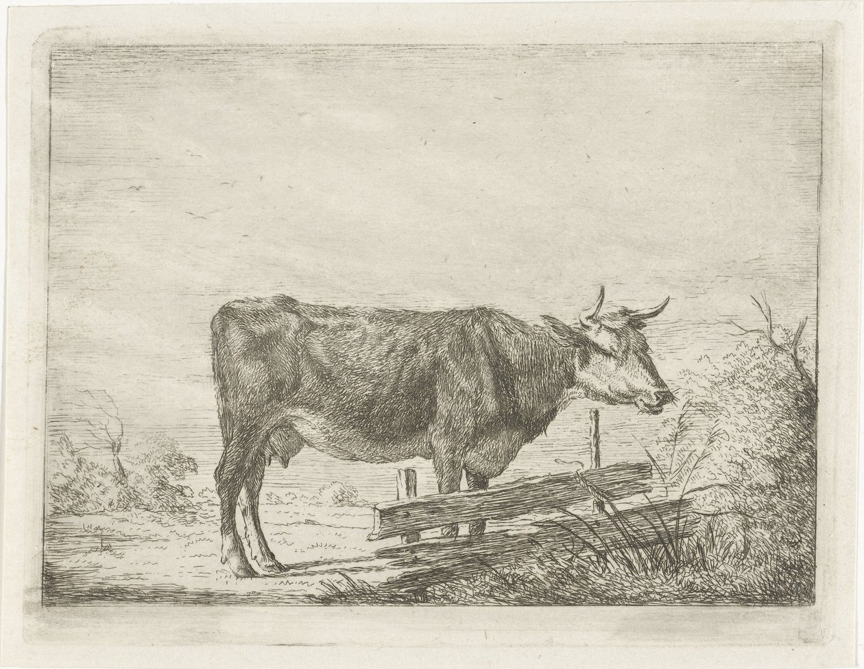 Ko stående ved et hegn af Jacobus Cornelis Gaal