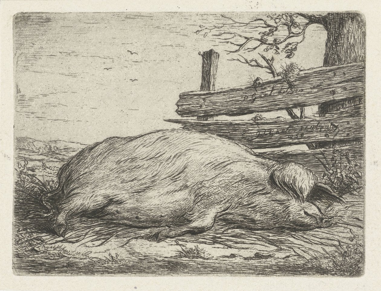 Liggende vildsvin af Jacobus Cornelis Gaal