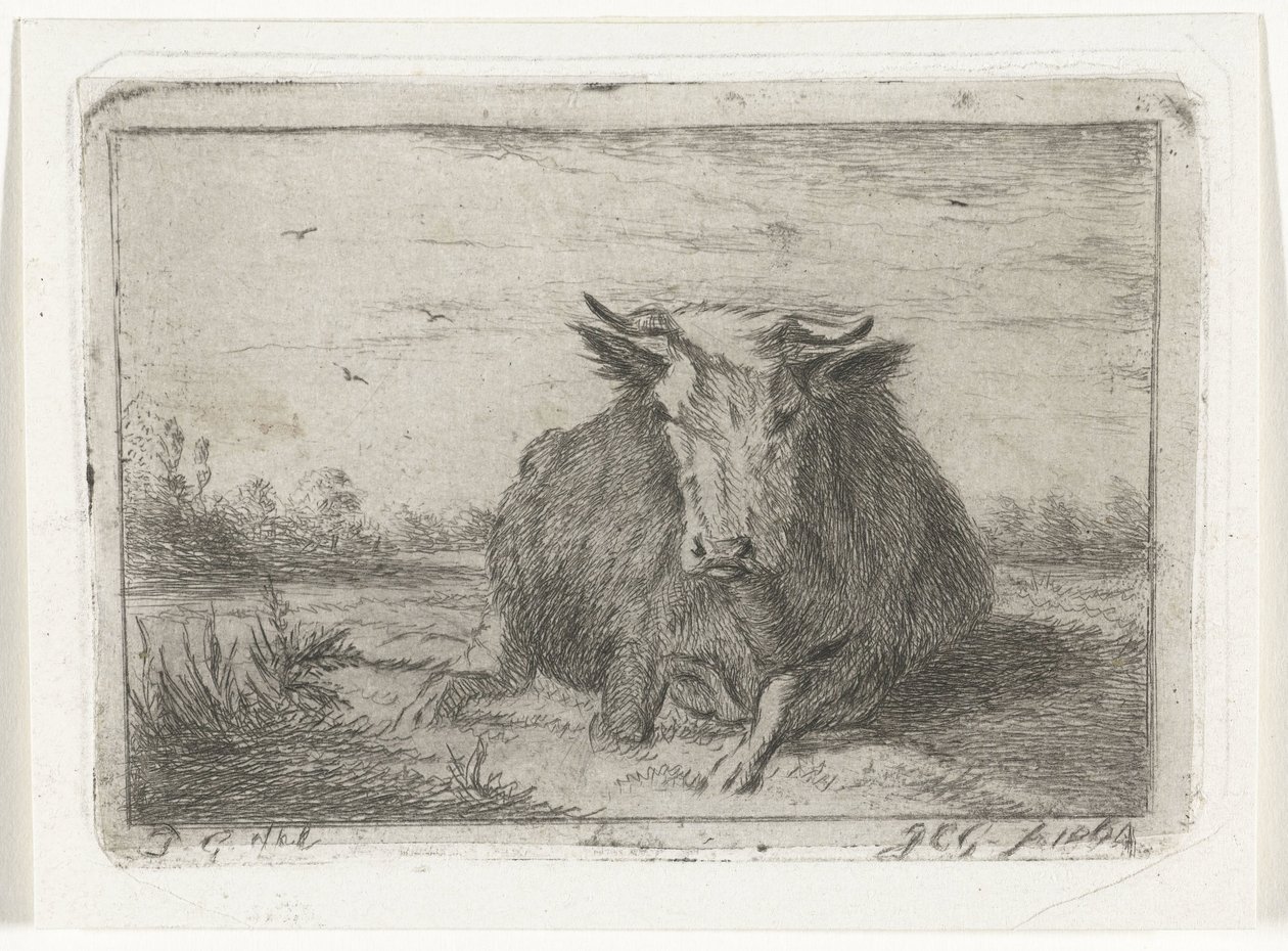 Liggende ko set forfra af Jacobus Cornelis Gaal