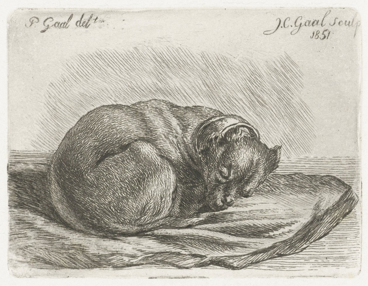 Sovende hund, liggende på et tæppe af Jacobus Cornelis Gaal