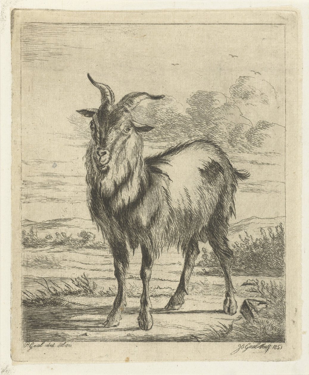 stående ged af Jacobus Cornelis Gaal