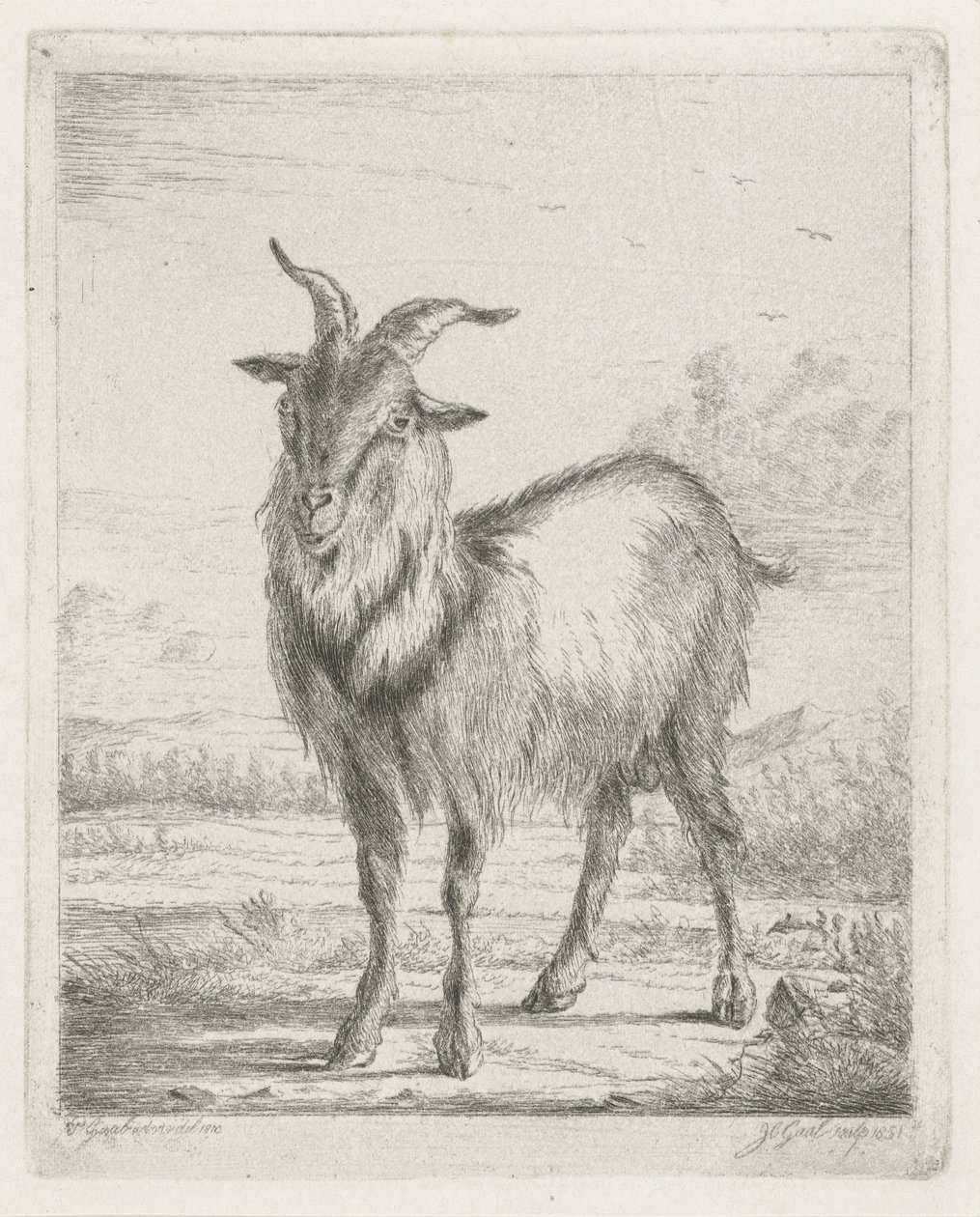 stående ged af Jacobus Cornelis Gaal