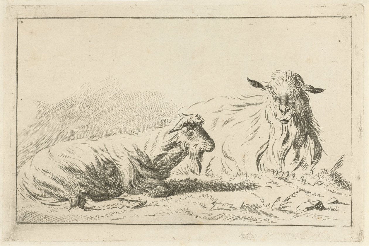 To liggende geder af Jacobus Cornelis Gaal
