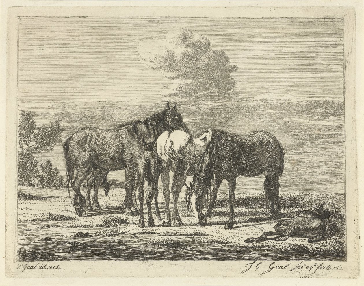 Fire heste og to føl af Jacobus Cornelis Gaal