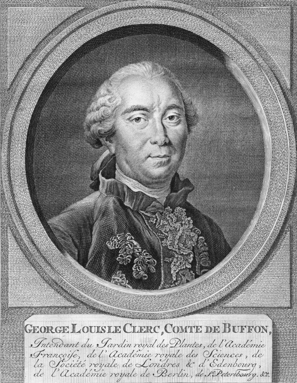 George Louis Leclerc, greve De Buffon, 1774. af Jacobus Houbraken