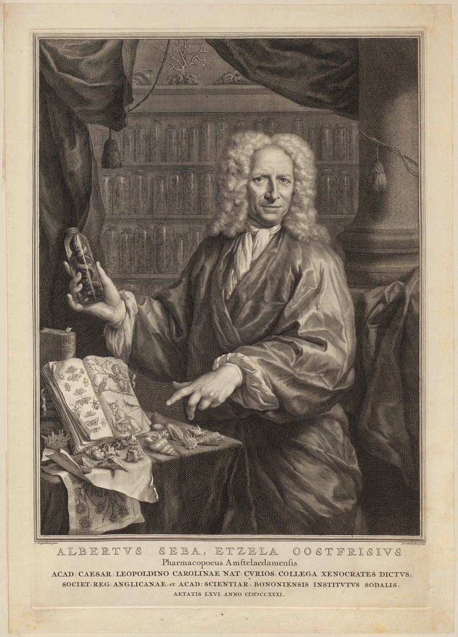 Portræt af Albert Seba, apoteker og berømt samler af naturhistoriske genstande af Jacobus Houbraken