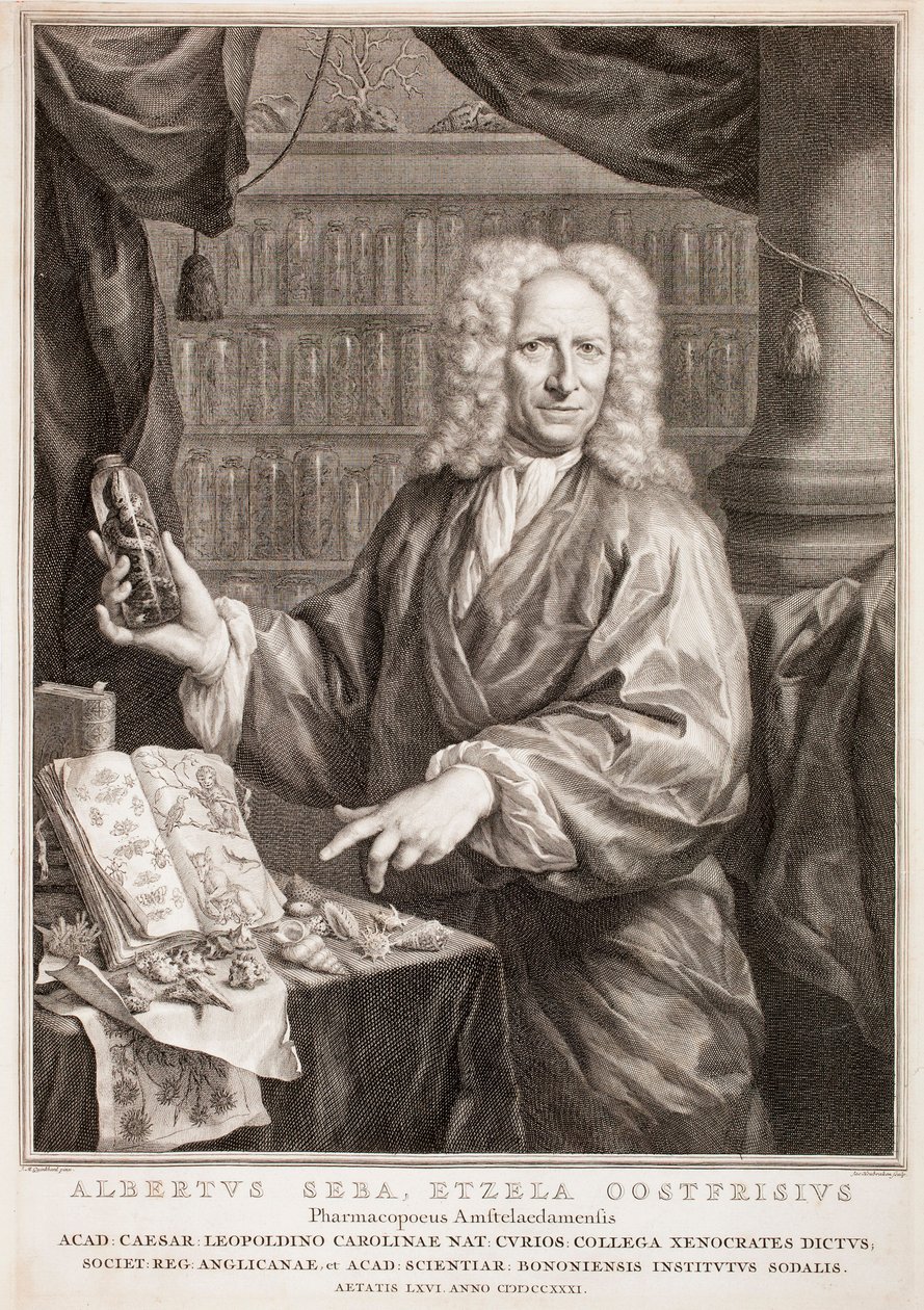 Portræt af Albertus Seba, efter Jan Maurits Quinkhard af Jacobus Houbraken