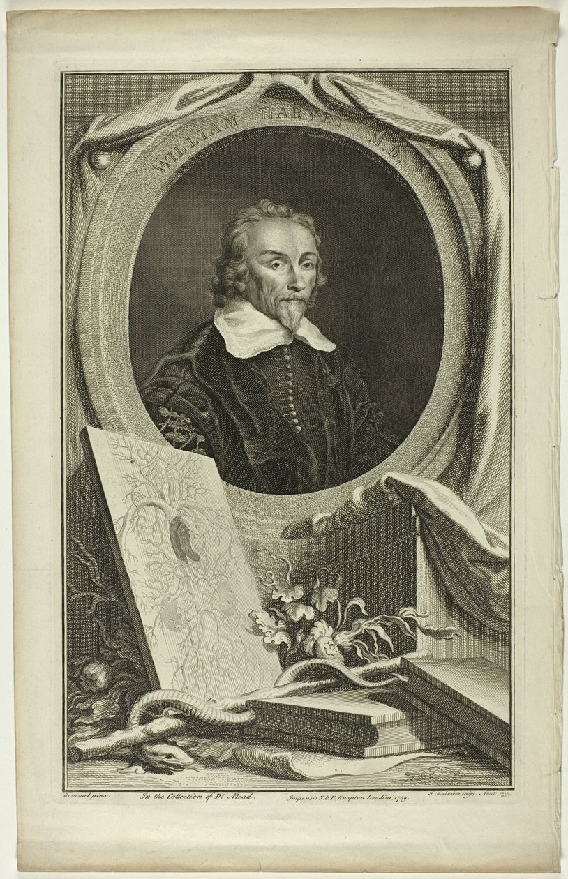 William Harvey, M.D. af Jacobus Houbraken