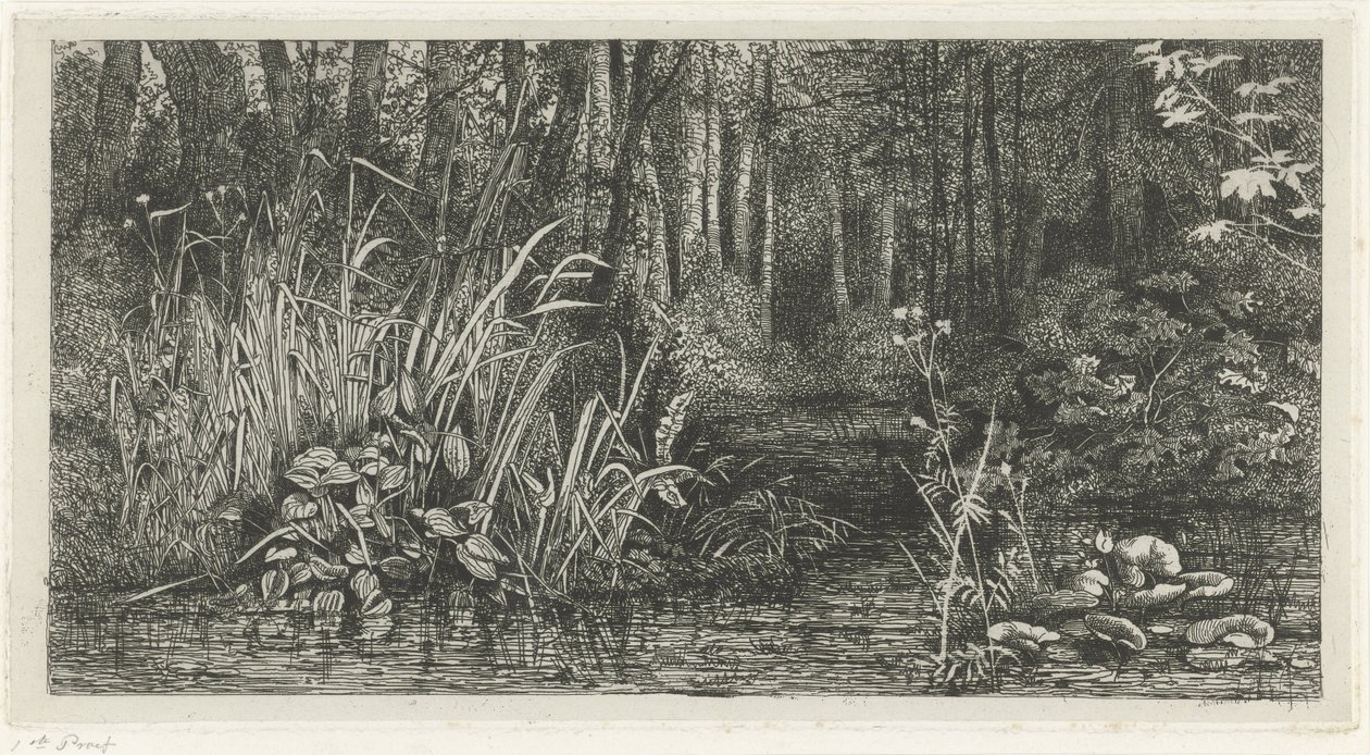 Bosbeekje af Jacobus Ludovicus Cornet