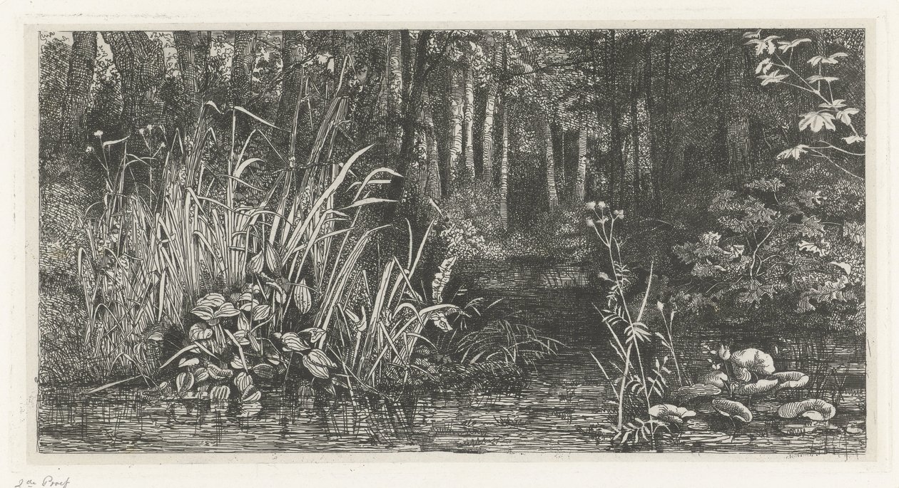 Bosbeekje af Jacobus Ludovicus Cornet