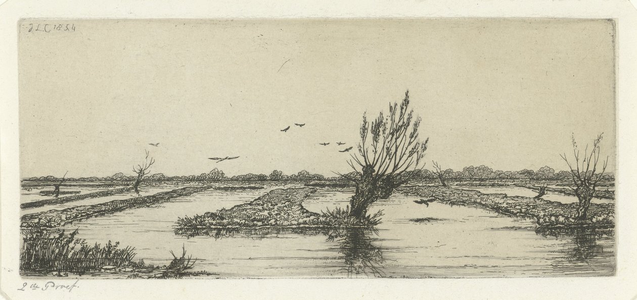 tørvemose af Jacobus Ludovicus Cornet