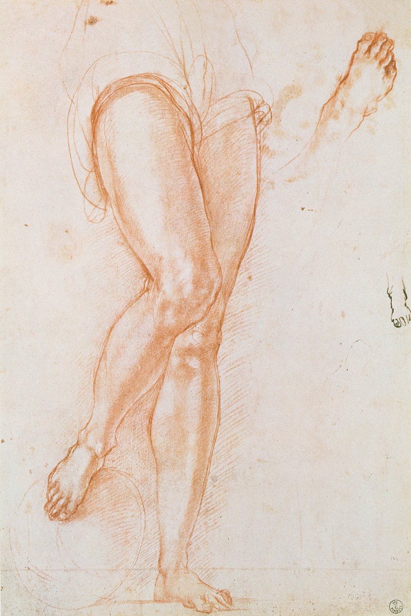 Studie af et par ben og to fødder til en skikkelse af St. Michael (rødt kridt med kuglepen og blæk) af Jacopo Pontormo