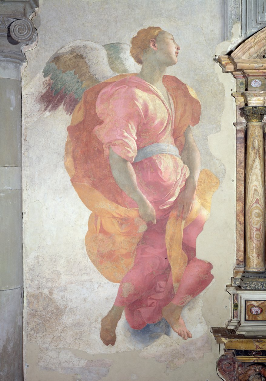 The Visitation, detalje af en engel til venstre for alteret, 1528-30 fresco af Jacopo Pontormo