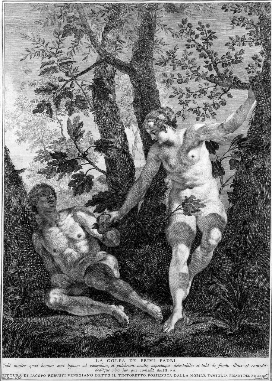 Adam og Eva, graveret af Pietro Monaco, c.1741-52 af Jacopo Robusti Tintoretto