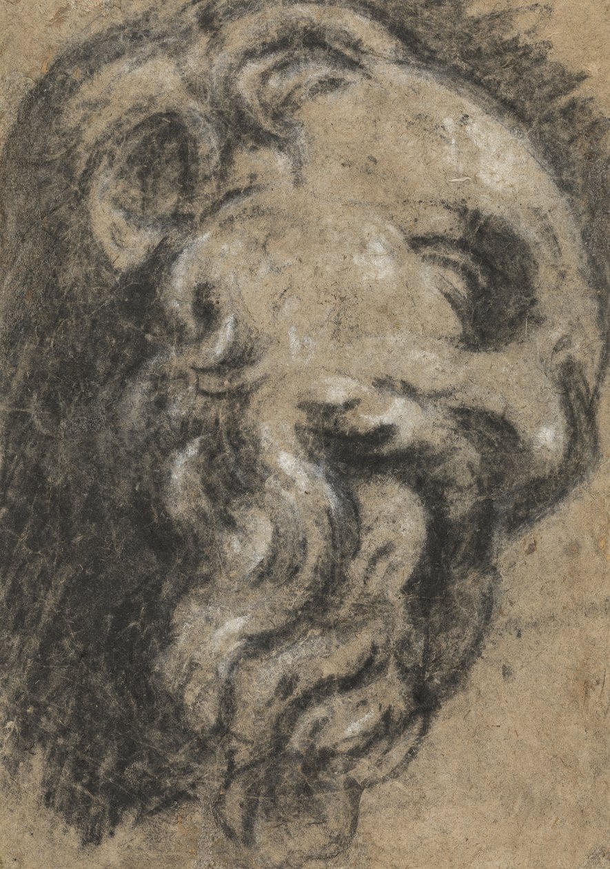 Studie efter Michelangelos Saint Damian, ca. mellem 1545 og 1550 (sort kridt, forhøjet med hvidt på beige papir) af Jacopo Robusti Tintoretto