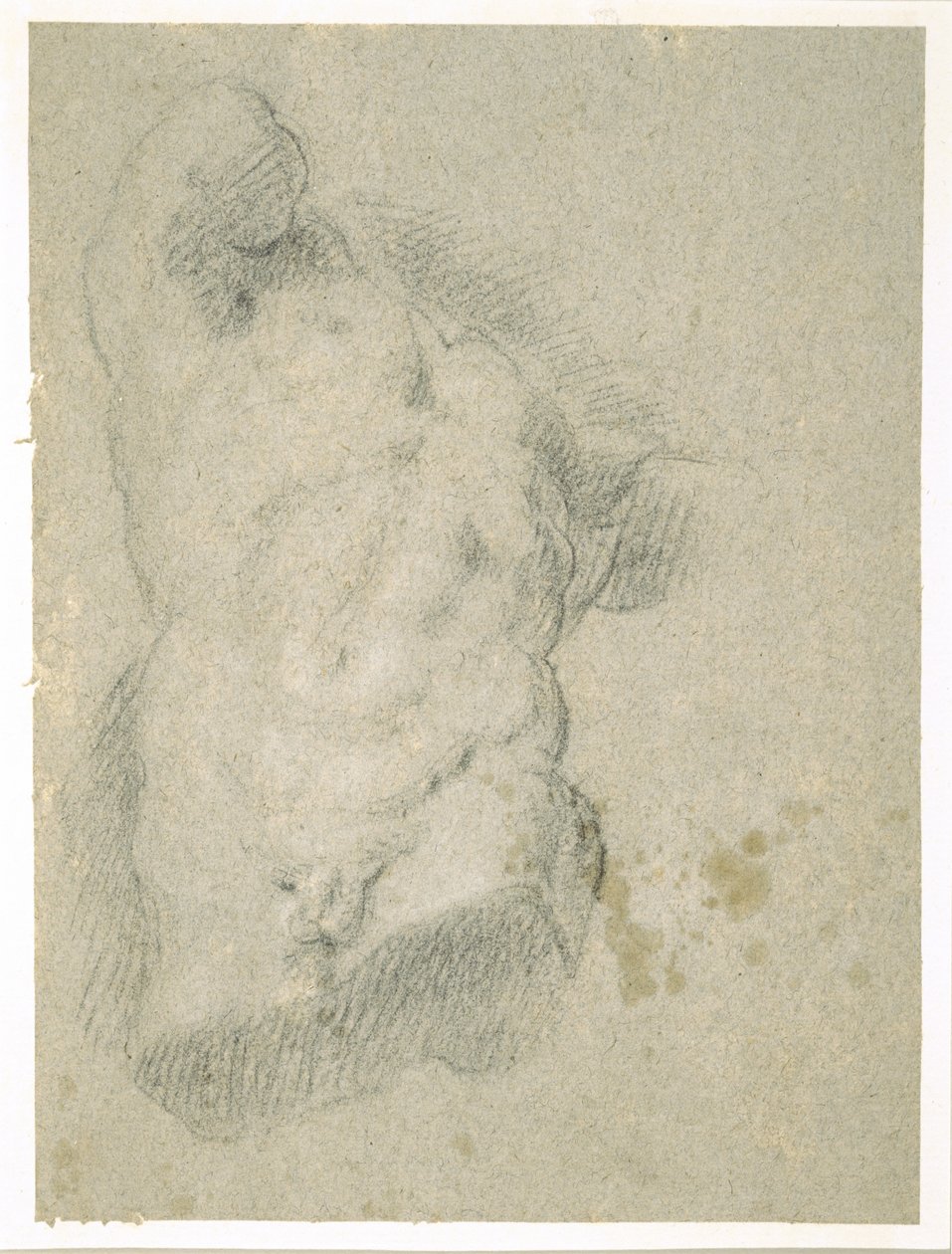 Tegning af en mandlig torso (kul på blåt papir) af Jacopo Bassano