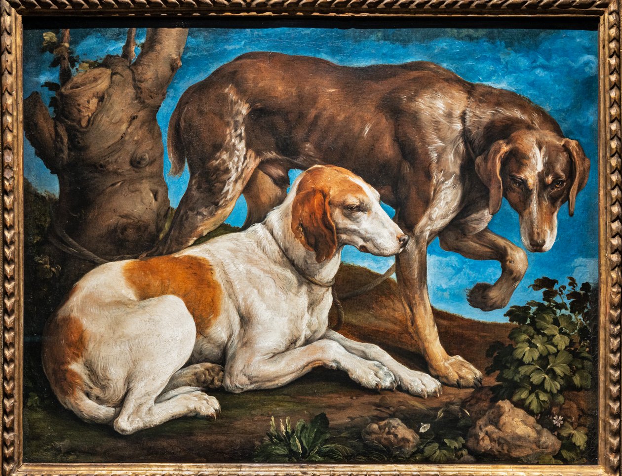 Portræt af to hunde bundet til en træstamme af Jacopo (1510 92) Bassano