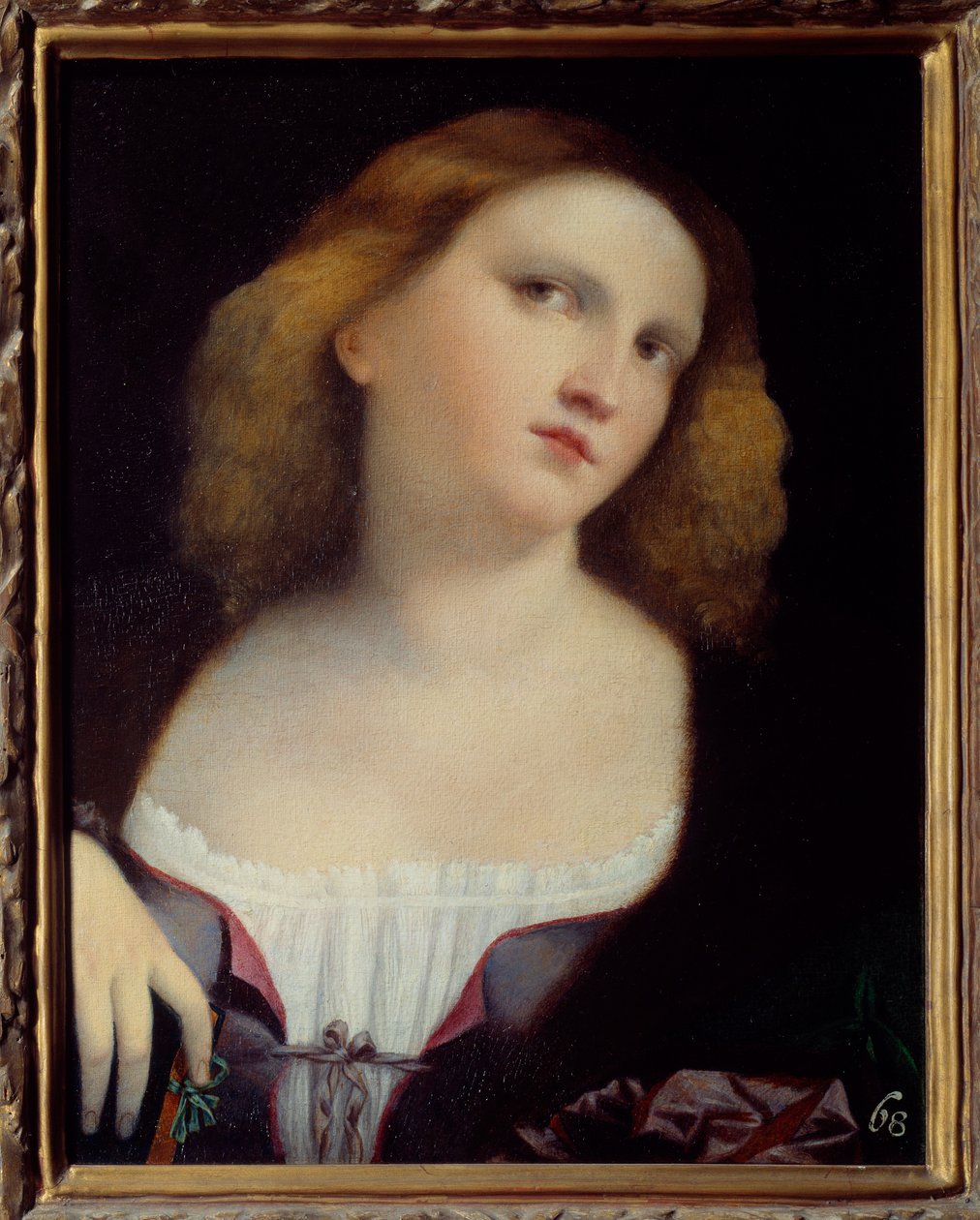 Portræt af kvindemaleri på træ transponeret på lærred af Jacopo Palma il Vecchio (1480-1528) 1513 Dim. 0,48 x 0,38 m Lyon, Musee des Beaux Arts af Jacopo (c.1480 1528) Palma