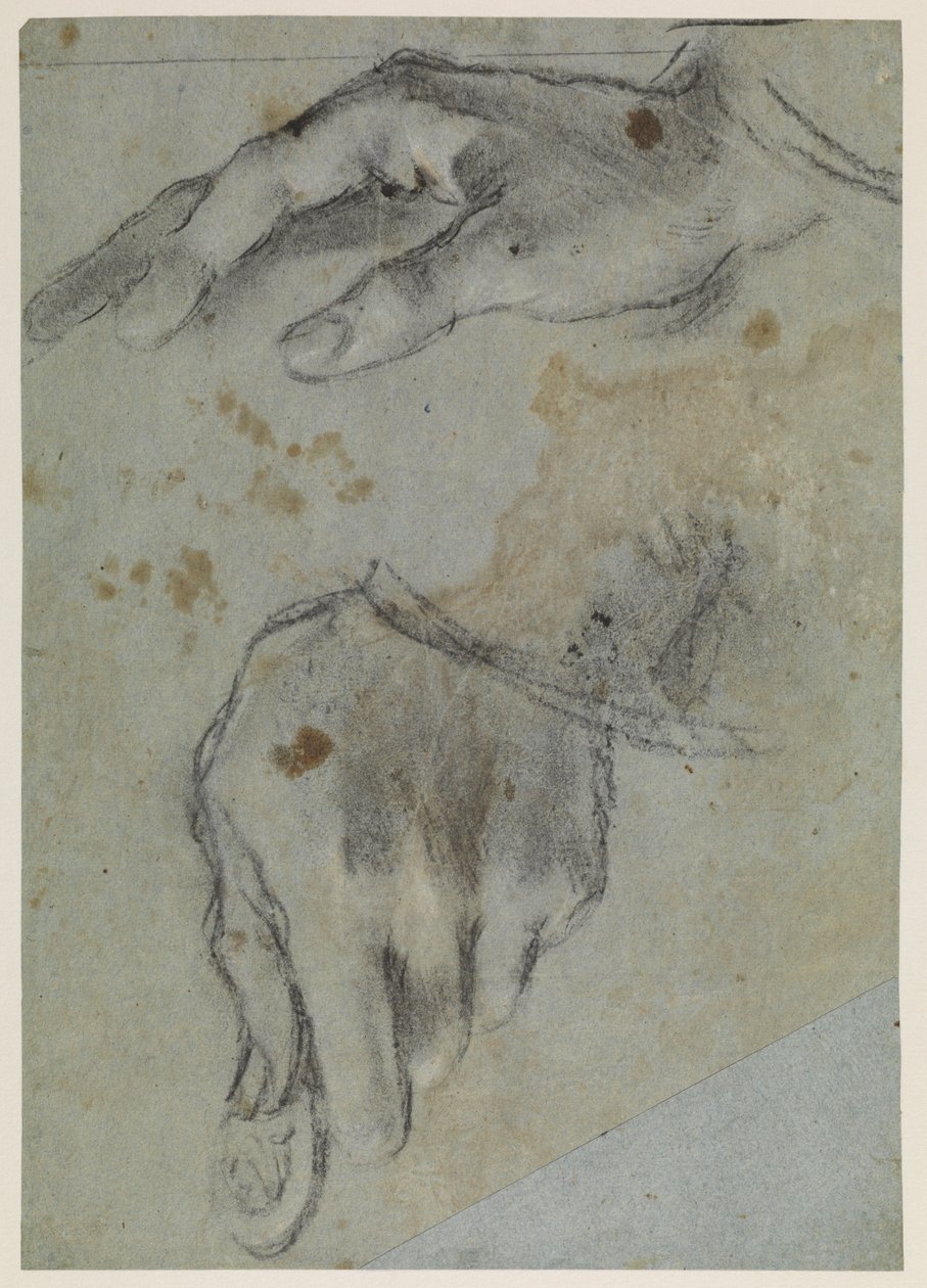 Studier af hænder, recto, 1500-tallet af Jacopo Bassano