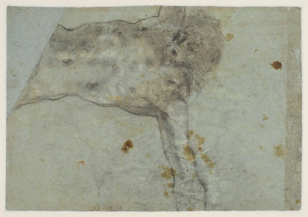 Studie af en korsfæstet Kristus, verso, 1500-tallet af Jacopo Bassano