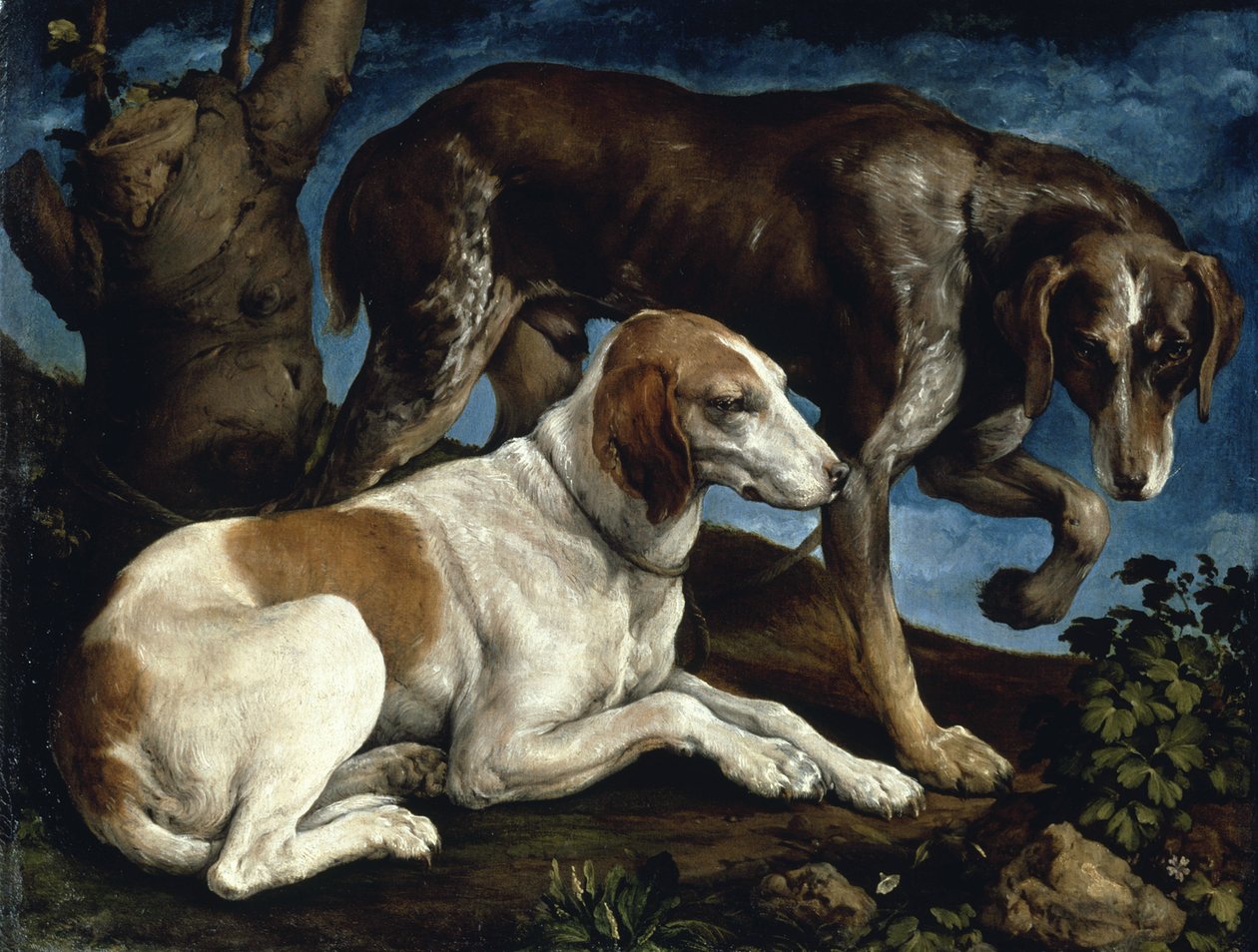 To jagthunde, 1548-1549. af Jacopo Bassano il vecchio