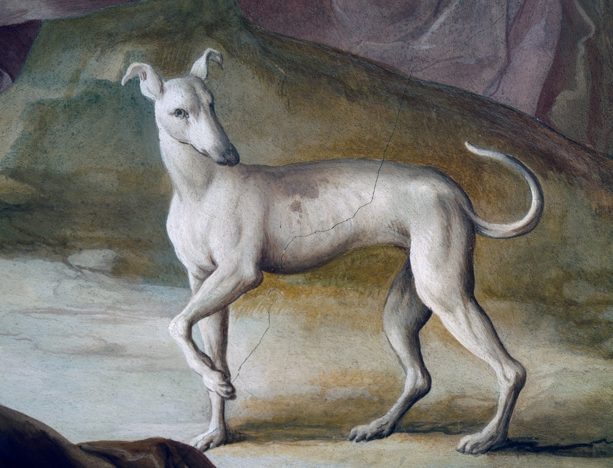Hund, detalje fra freskomaleri af Jacopo Guarana (1720-1808), centrale hal i Villa Contarini, Valnogaredo, Veneto, Italien af Jacopo Guarana