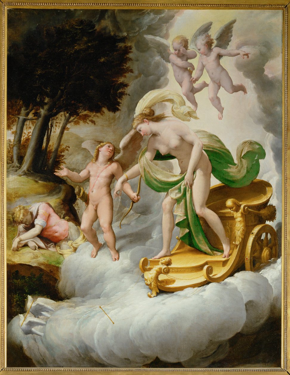 Venus ledes af Amor til den døde Adonis ... af Jacopo Ianguidi (1544 c.1573) Bertoia