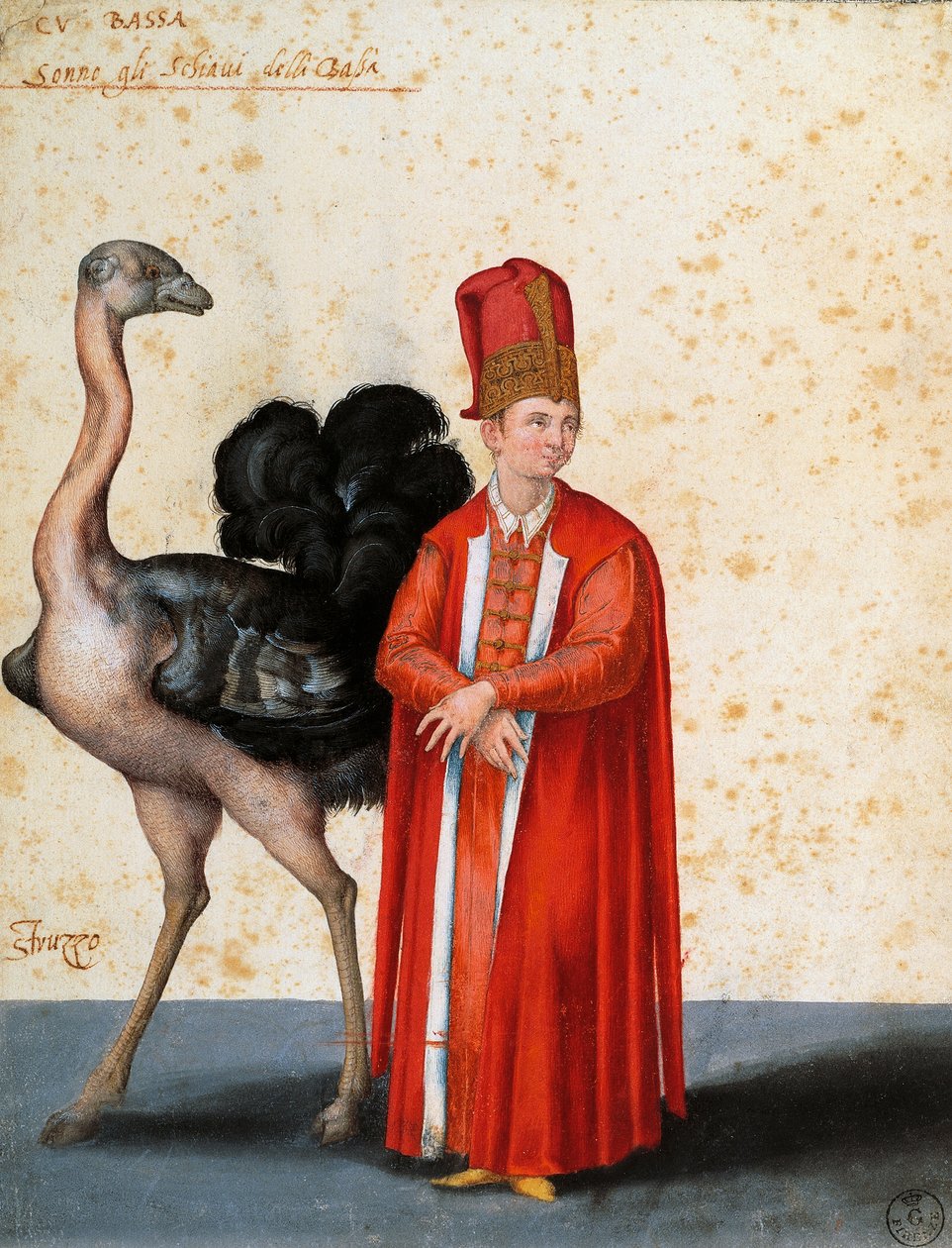Slave med struds, tegning af Jacopo Ligozzi (1547-1627) af Jacopo Ligozzi