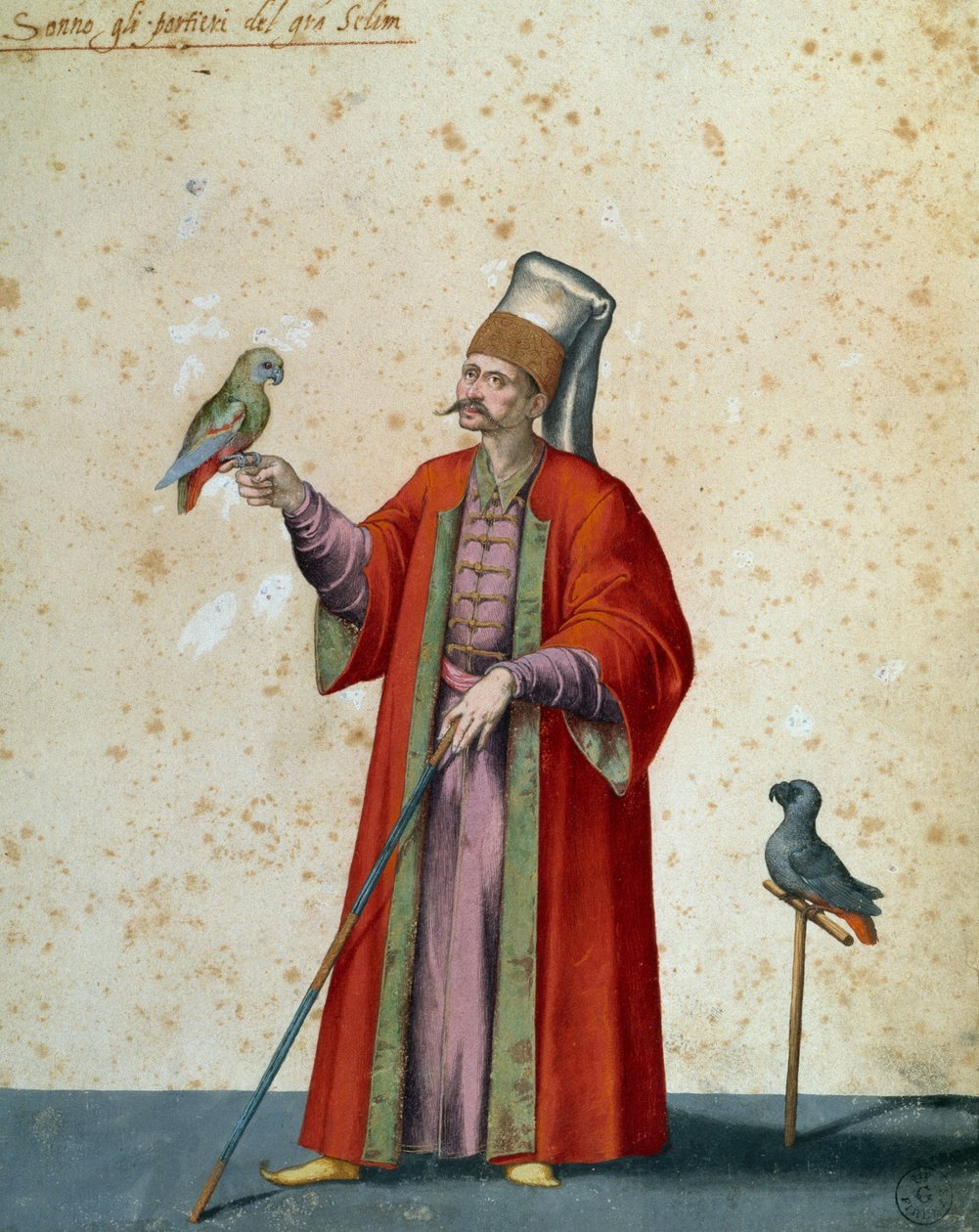 Før til stor selim med papegøjer, tegning af Jacopo Ligozzi (1547-1627) af Jacopo Ligozzi