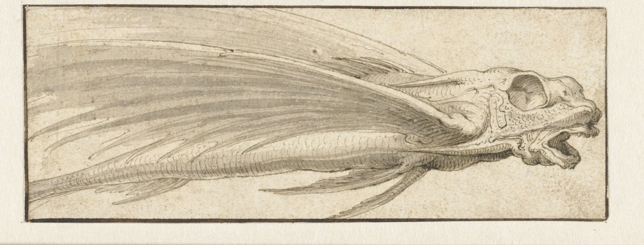 Flyvefisk af Jacopo Ligozzi