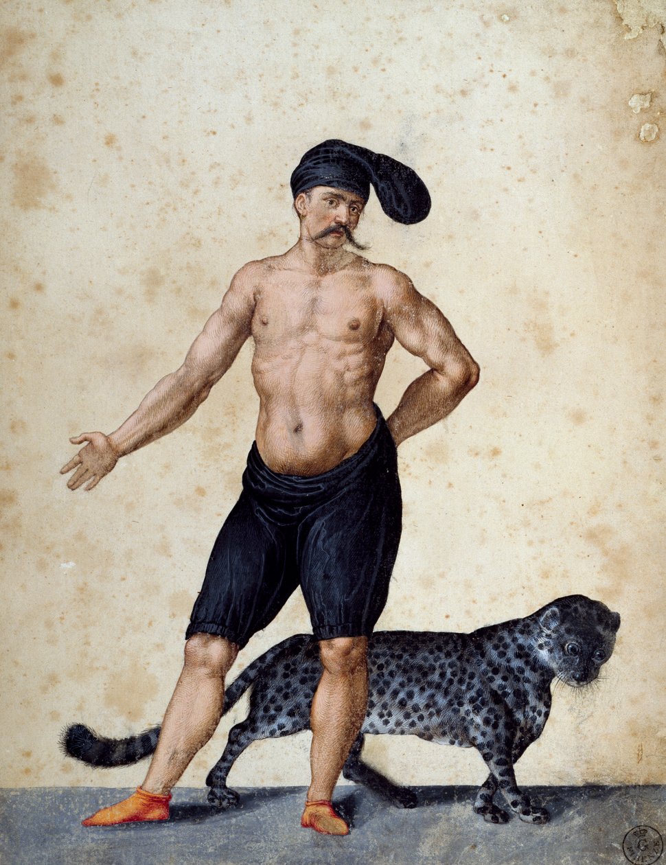 Ung afrikansk mand står forrest, halvt påklædt og med lang berretta (hue) på hovedet, med en tiger bag sig, tegning af Jacopo Ligozzi (1547-1627) af Jacopo Ligozzi