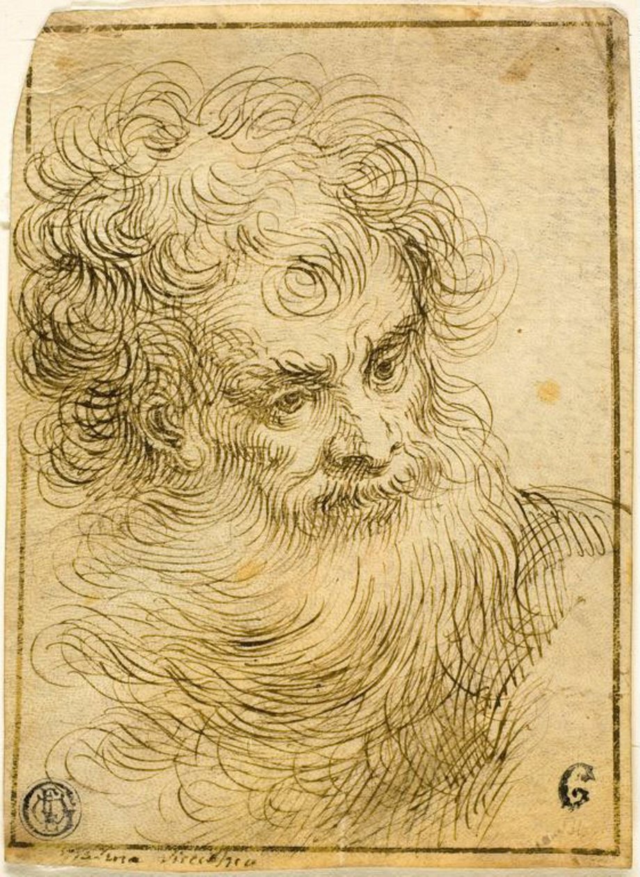 Hoved af skægget gammel mand (recto); Dekorativ skitse af blomster og blade (verso) af Jacopo Palma il Giovane