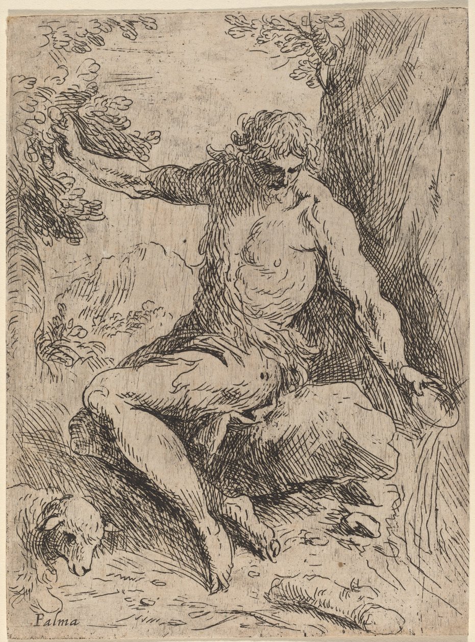 Sankt Johannes Døberen af Jacopo Palma il Giovane