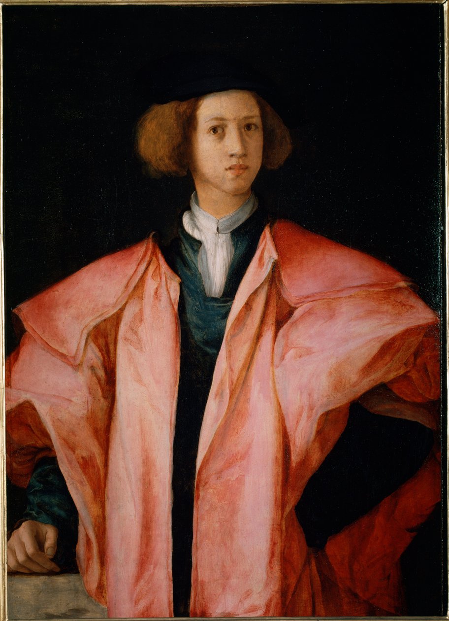 Portræt af en ung mand sandsynligvis Alessandro de Medicis - olie på panel af Jacopo Pontormo