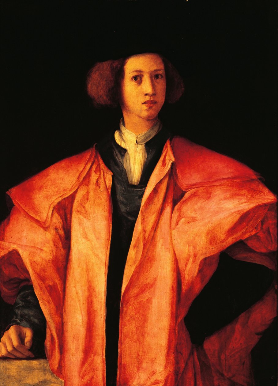 Nuoren miehen muotokuva, ehkä Amerigo Antinori, n. 1530, Jacopo Carucci, joka tunnetaan nimellä Pontormo (1494-1557), öljy paneelille af Jacopo Pontormo